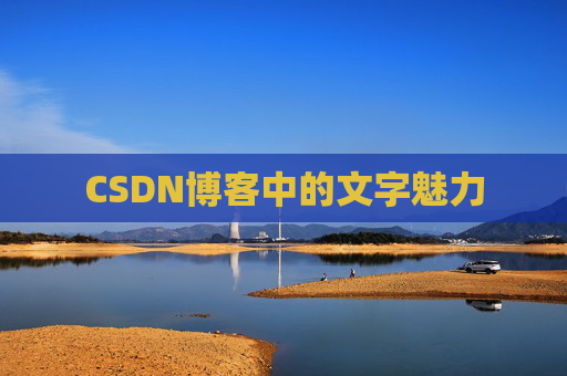 CSDN博客中的文字魅力